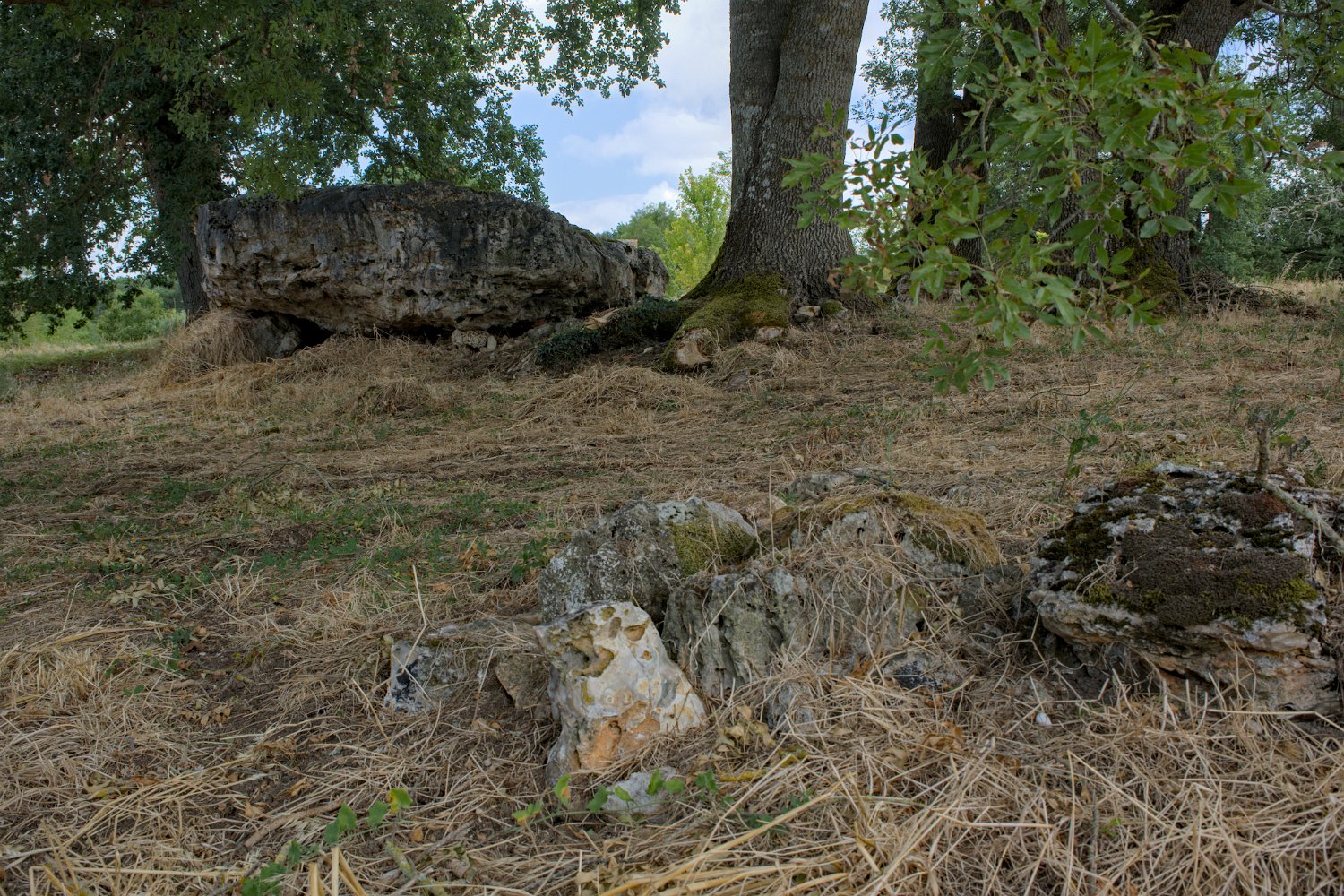 Dolmen de Breil 