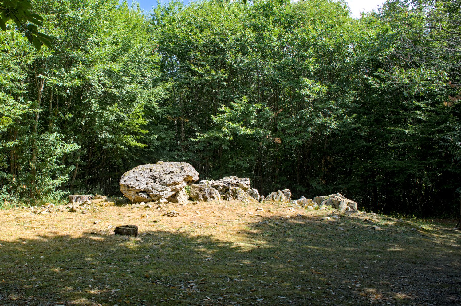 Allées couvertes de la Maison du Loup- Allée N°1 - Vue d'ensemble