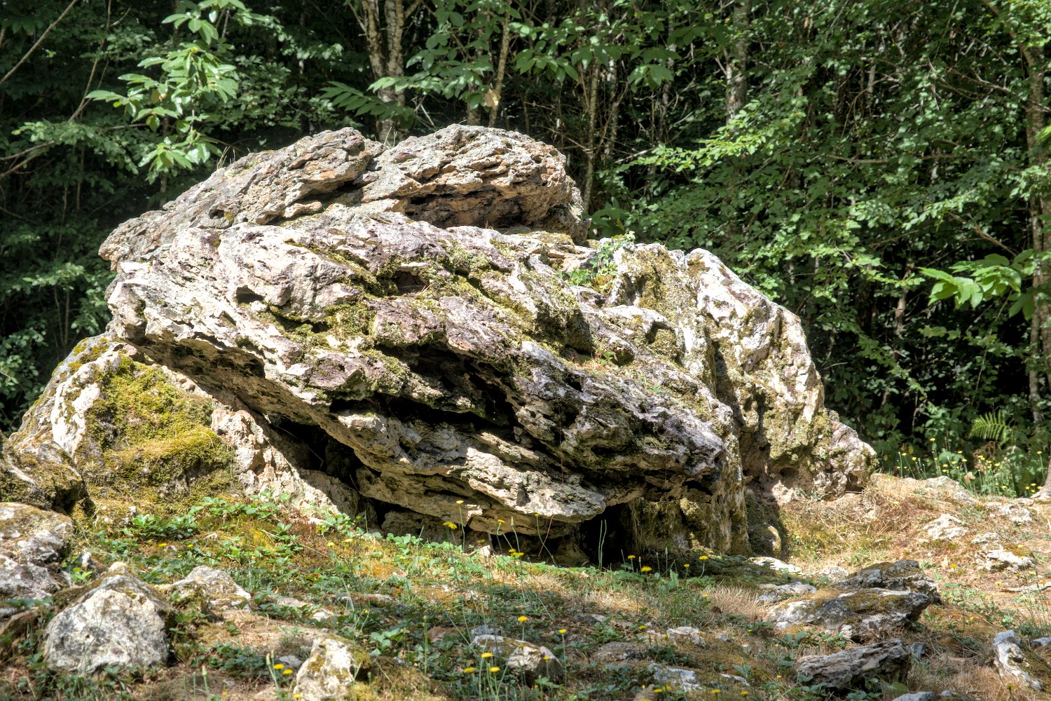 Allées couvertes de la Maison du Loup- Allée N°1 