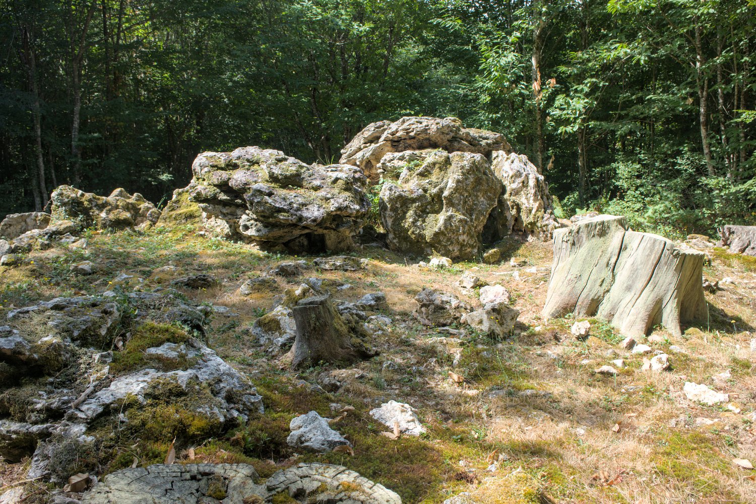 Allées couvertes de la Maison du Loup- Allée N°1 