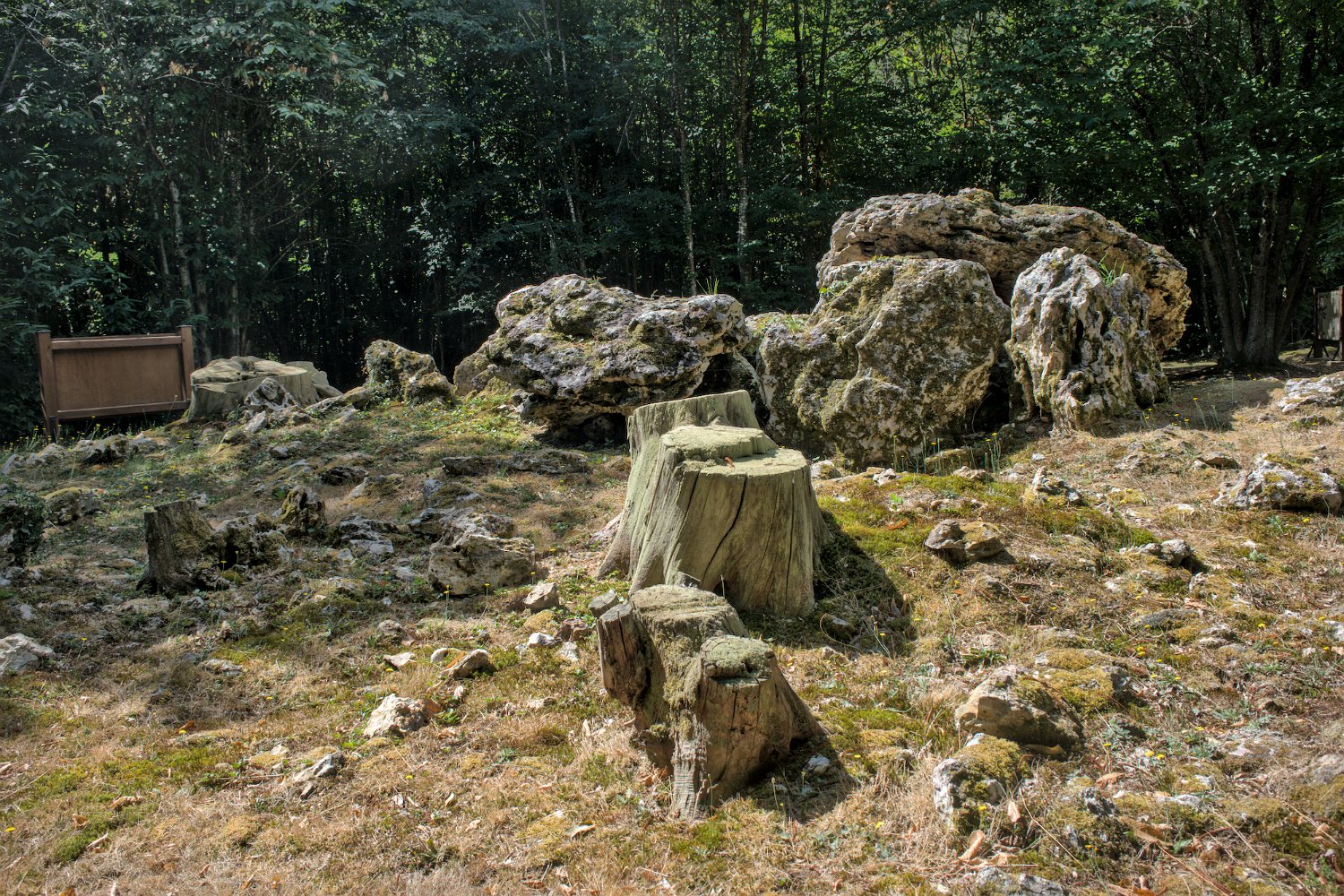 Allées couvertes de la Maison du Loup- Allée N°1 
