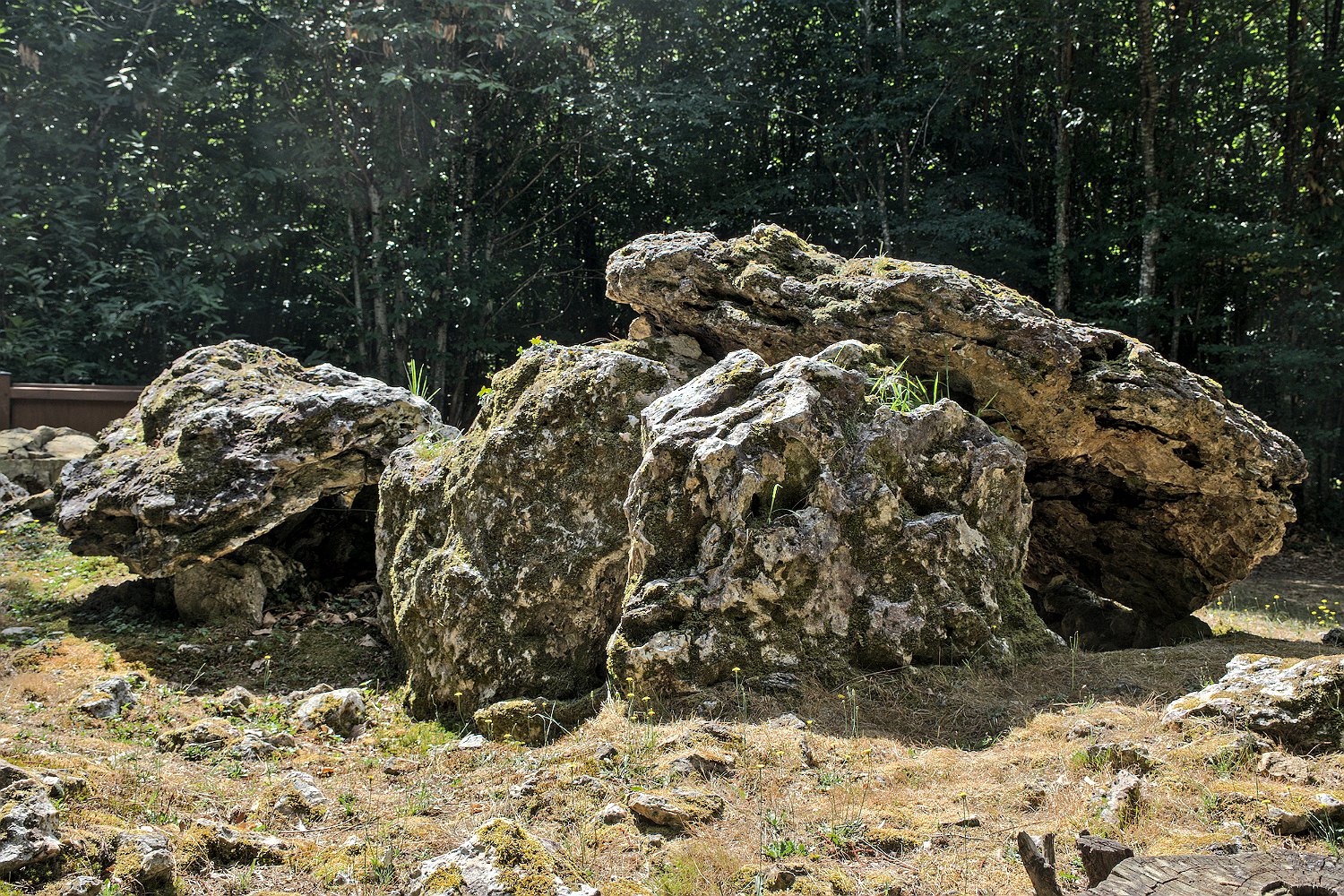 Allées couvertes de la Maison du Loup- Allée N°1 