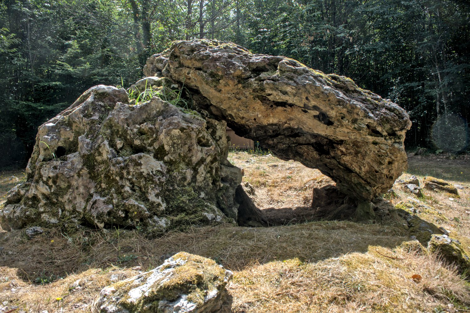 Allées couvertes de la Maison du Loup- Allée N°1 