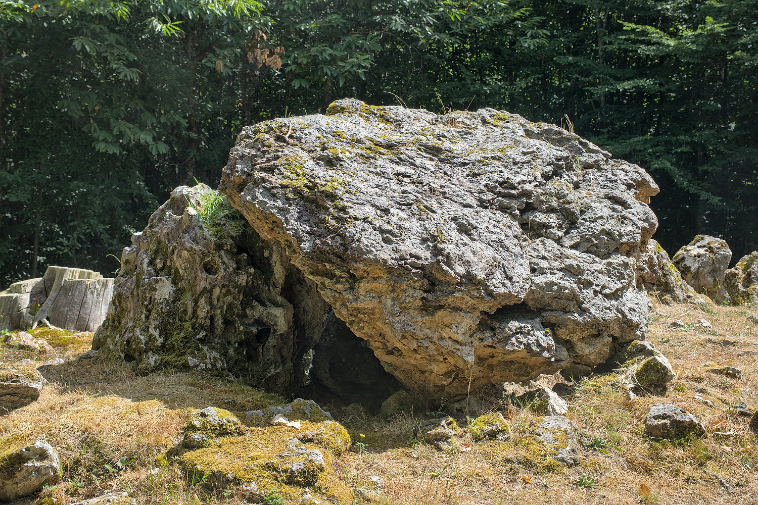 Allées couvertes de la Maison du Loup- Allée N°1 