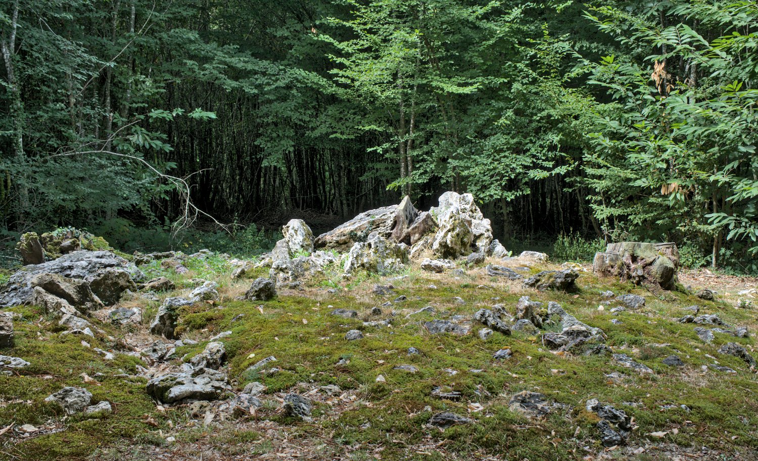 Allées couvertes de la Maison du Loup- Allée N°2 