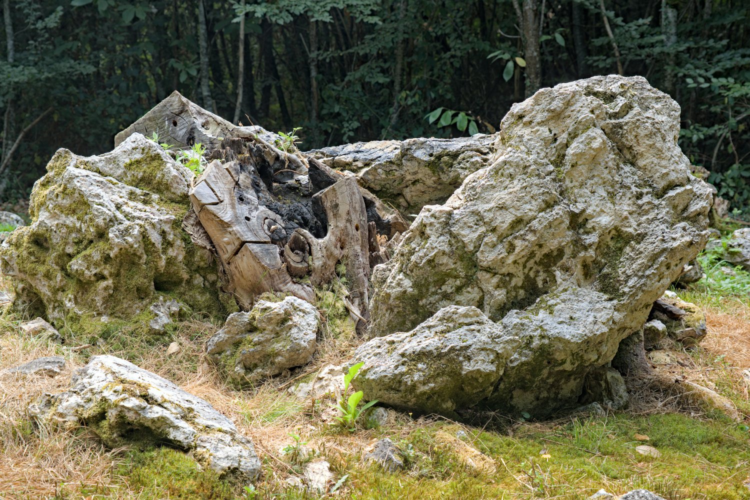 Allées couvertes de la Maison du Loup- Allée N°2