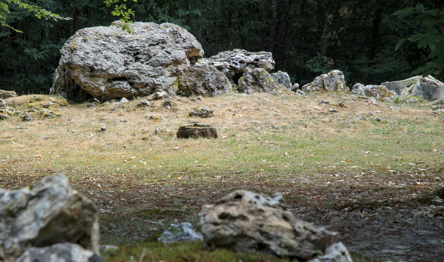 Allées couvertes de la Maison du Loup- Allée N°1 