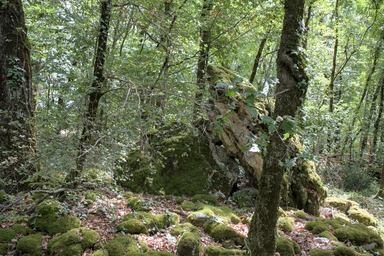 Allée couverte de la Courrège (Saint Cassien)