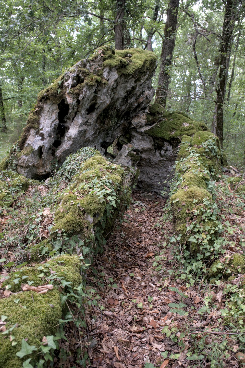Allée couverte de la Courrège