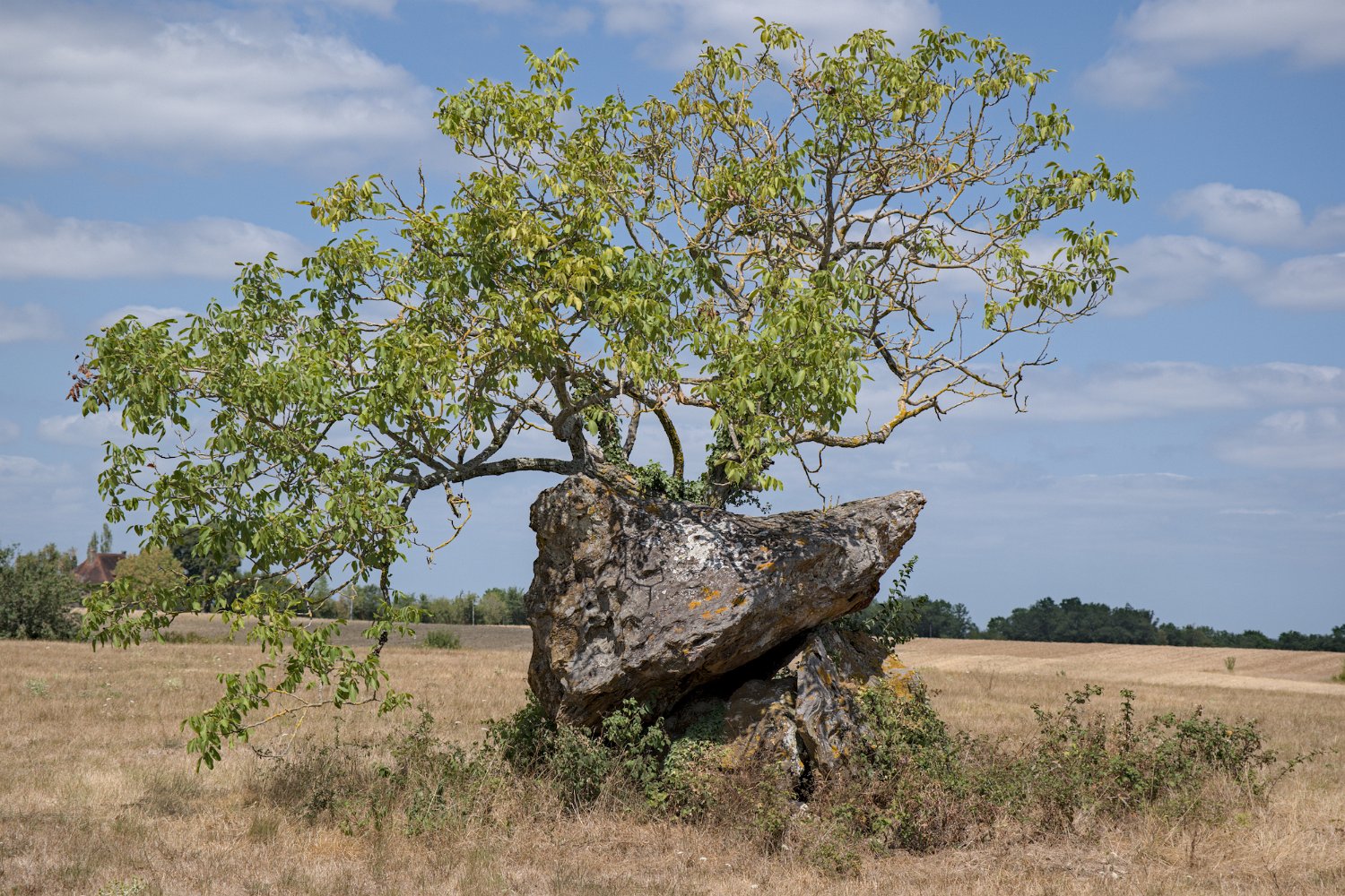 Dolmen de Peyre Nègre (Beaumont du Périgord)