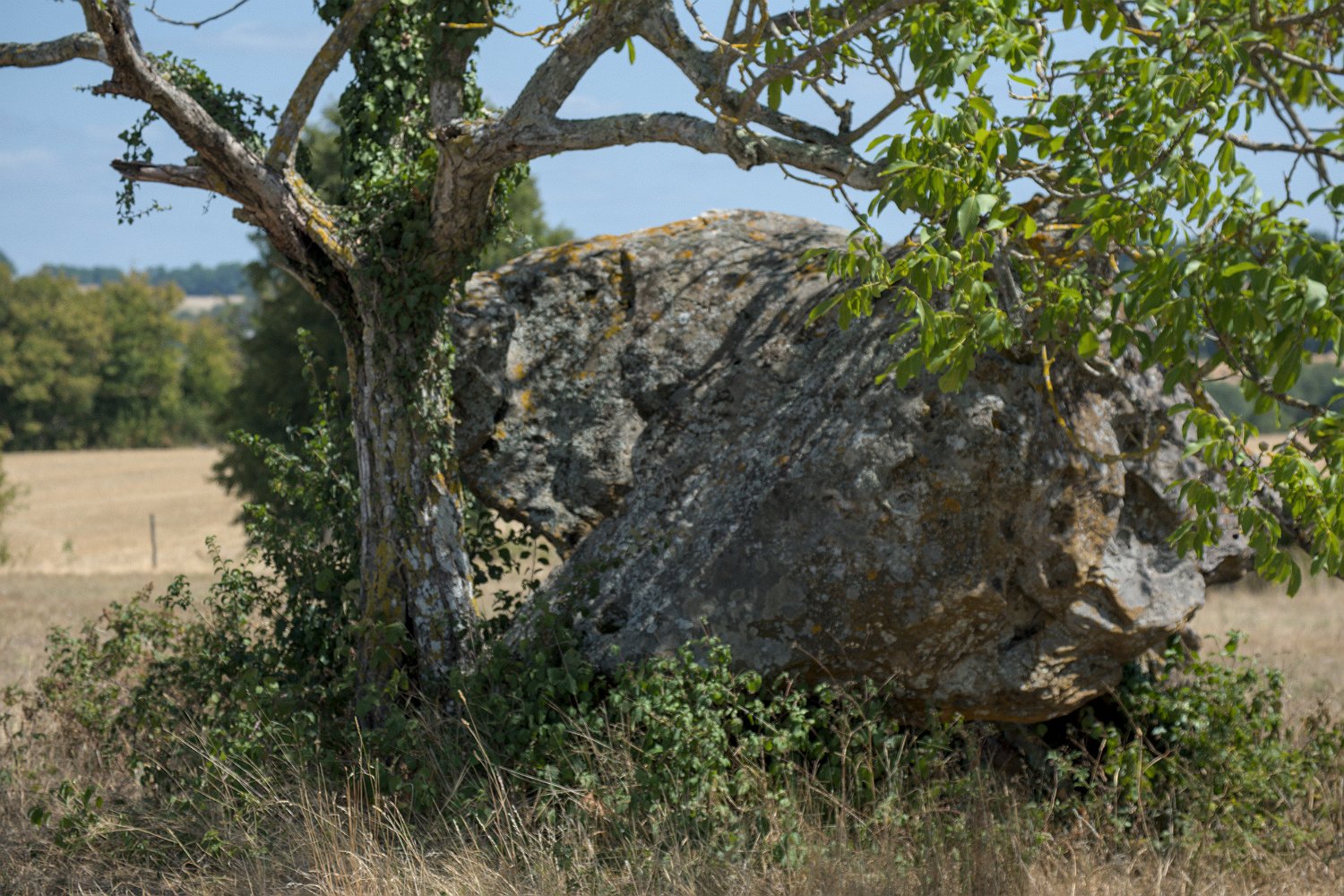 Dolmen de Peyre Nègre