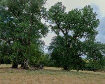 Dolmen de Breil (Saint Léon d'Issigeac) - vue d'ensemble du site  Ce dolmen possède une imposante dalle de couverture (la table) en silex d'environ 4 mètres sur 4 mètres pour près d'1 mètre à 1,50 mètre d'épaisseur. Cette lourde table repose en partie sur des supports calcaires affaissés qu'elle a en grande partie écrasés sous son poids