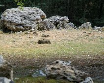 Allées couvertes de la Maison du Loup- Allée N°1
