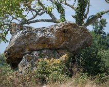 Dolmen de Peyre Nègre